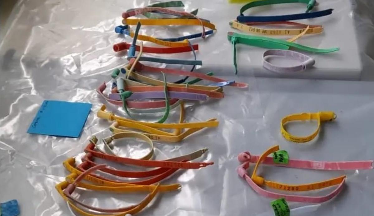 Etiquetas de las nasas de pesca de langosta procedentes de EEUU y Canadá halladas en las costas de Canarias.