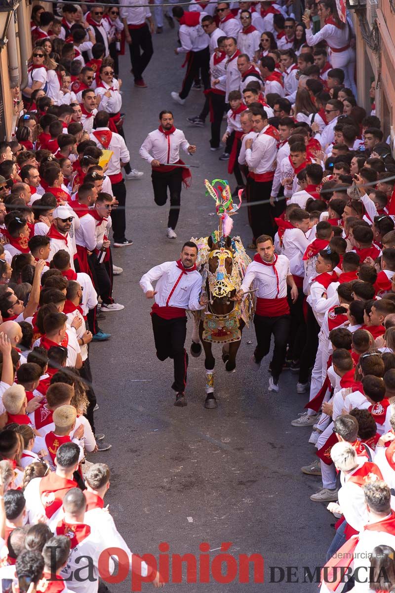 Caballos del Vino en la cuesta de la Simona