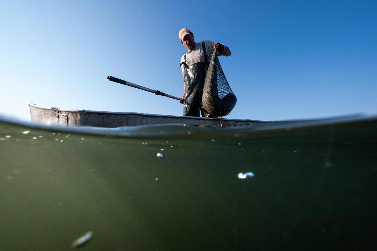 Jeremy Fuchs, el único pescador profesional del río Rin