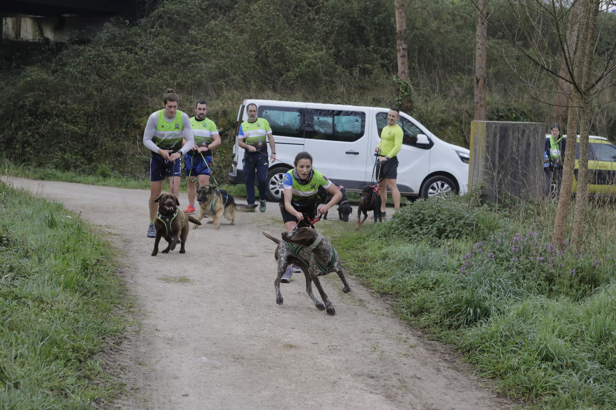 Los corredores del Celtastur de Llanera y sus perros preparan el Mundial en La Morgal: cuatro de sus integrantes estarán en la cita de Plédran (Francia)