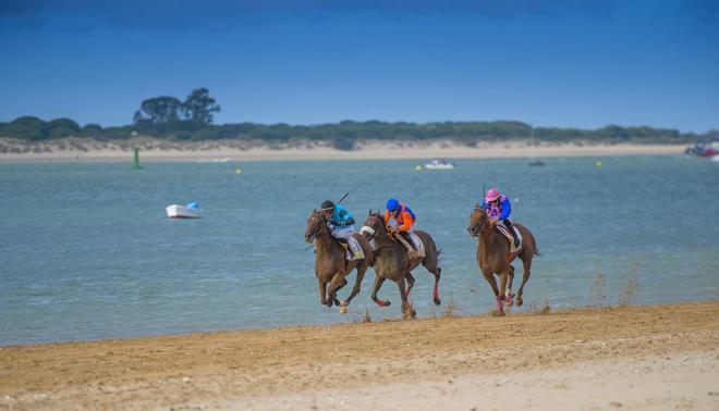 Carreras Sanlúcar de Barrameda caballos