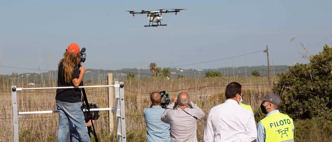 Drones contra mosquitos en ses Feixes de Ibiza