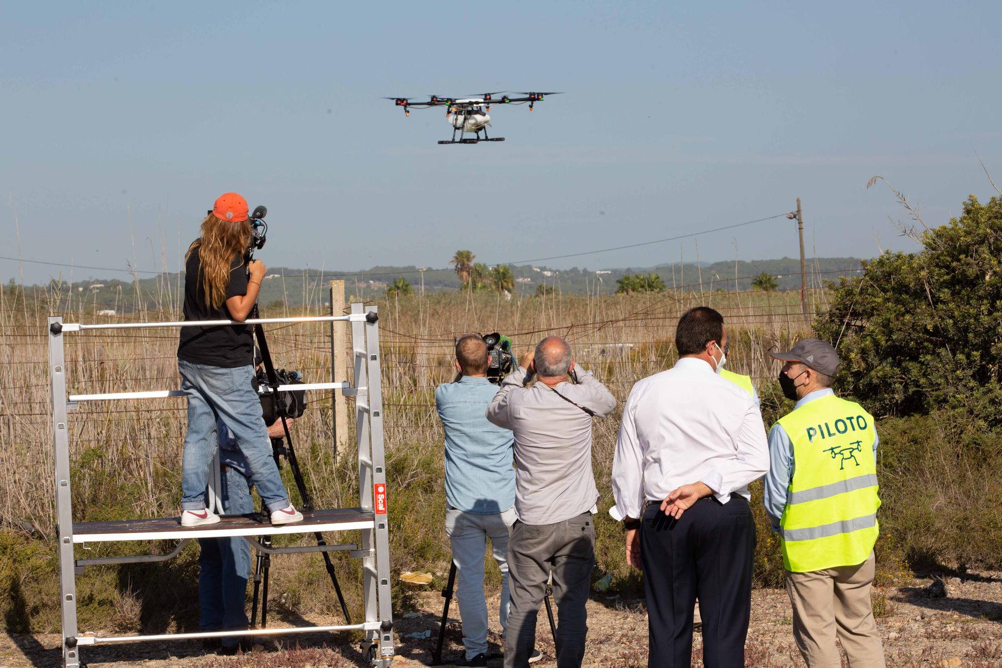 Drones contra los mosquitos de Ibiza