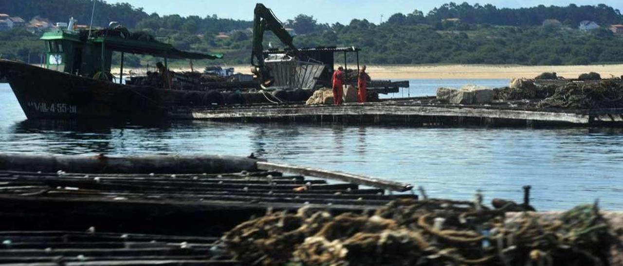 Bateas arousanas cargadas con cuerdas productivas -dentro del agua- y otras almacenadas sobre el emparrillado. // Iñaki Abella