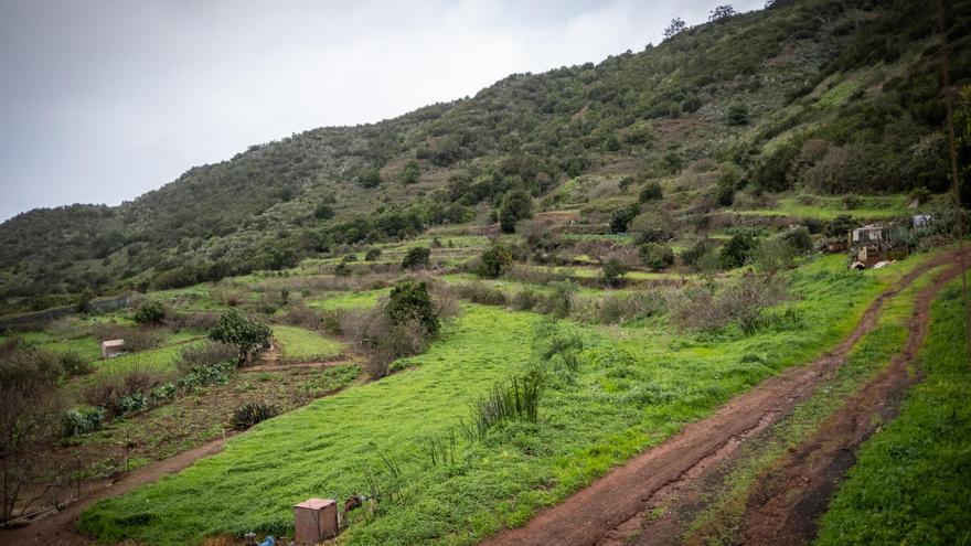 Лас-Портелас: родина Леон Мартін обирає тишу