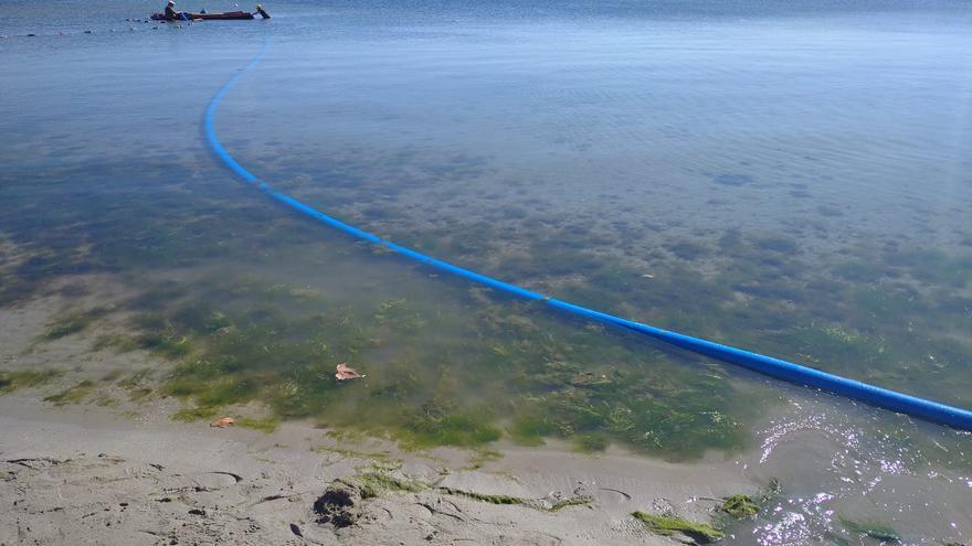 El Mar Menor vuelve a mostrar los primeros síntomas de la sopa verde