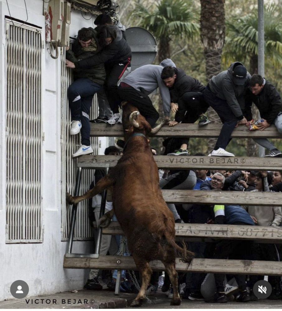 Sant Antoni en el Camp de Morvedre