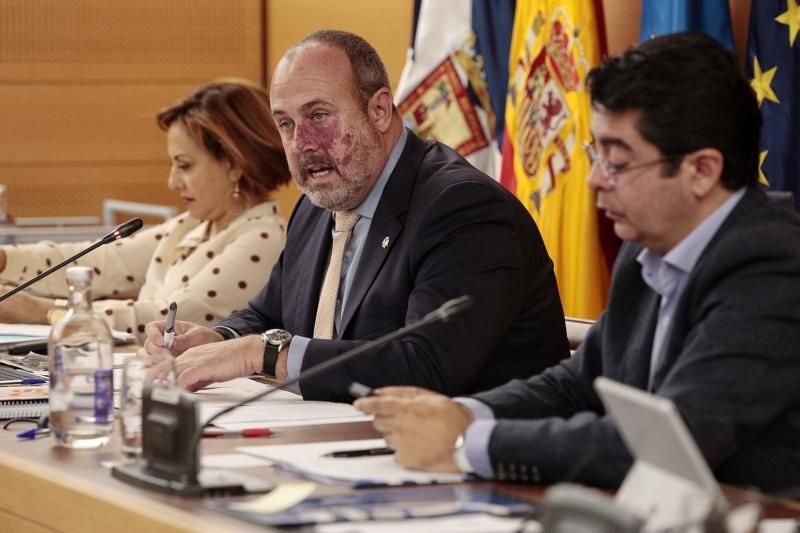 Pleno del Cabildo de Tenerife