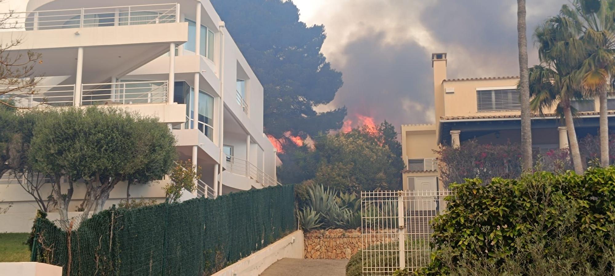 Un incendio forestal obliga a desalojar varios chalés de Costa de los Pinos