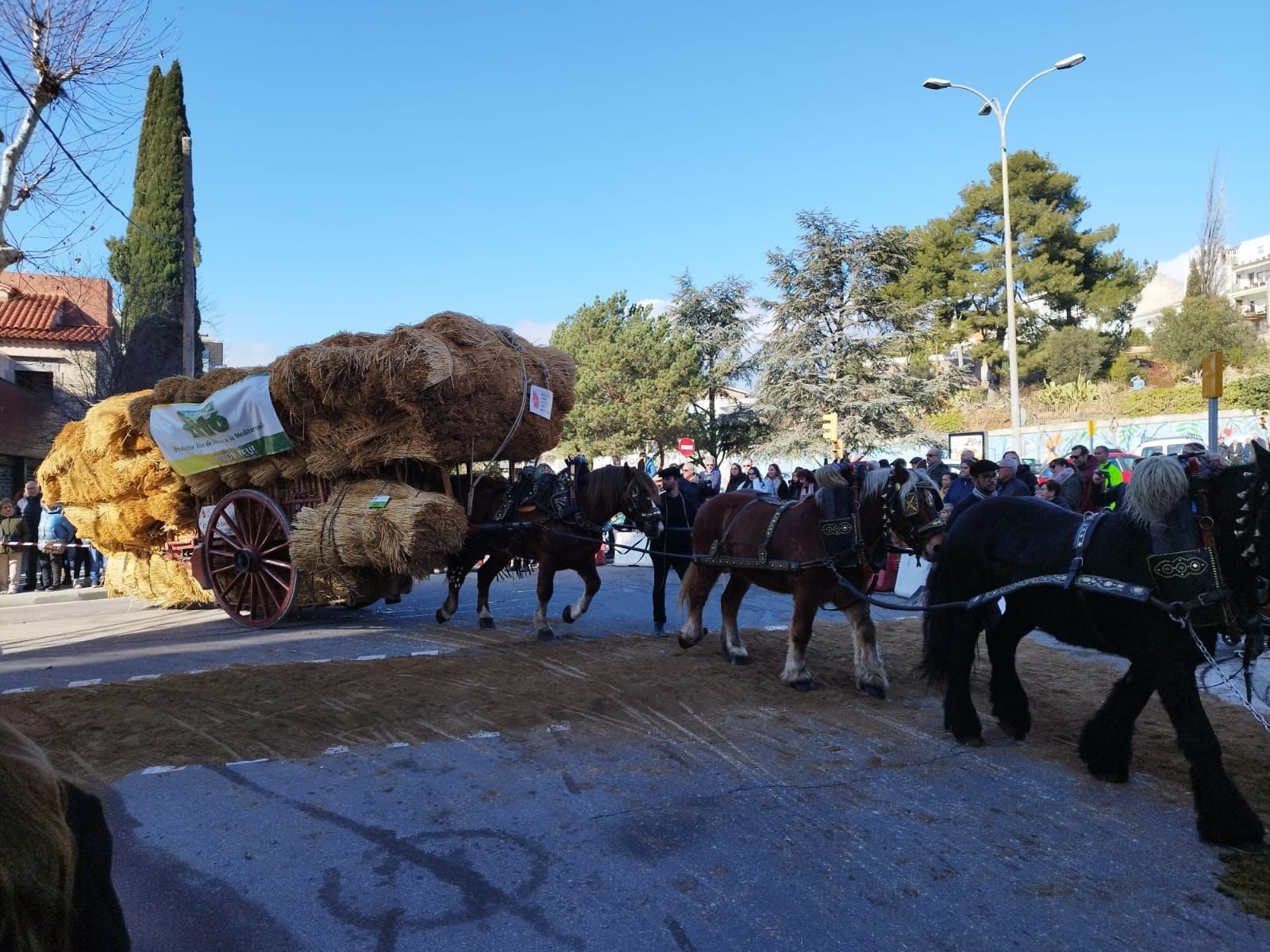 Els Tres Tombs d'Igualada porten una cinquantena de carruatges