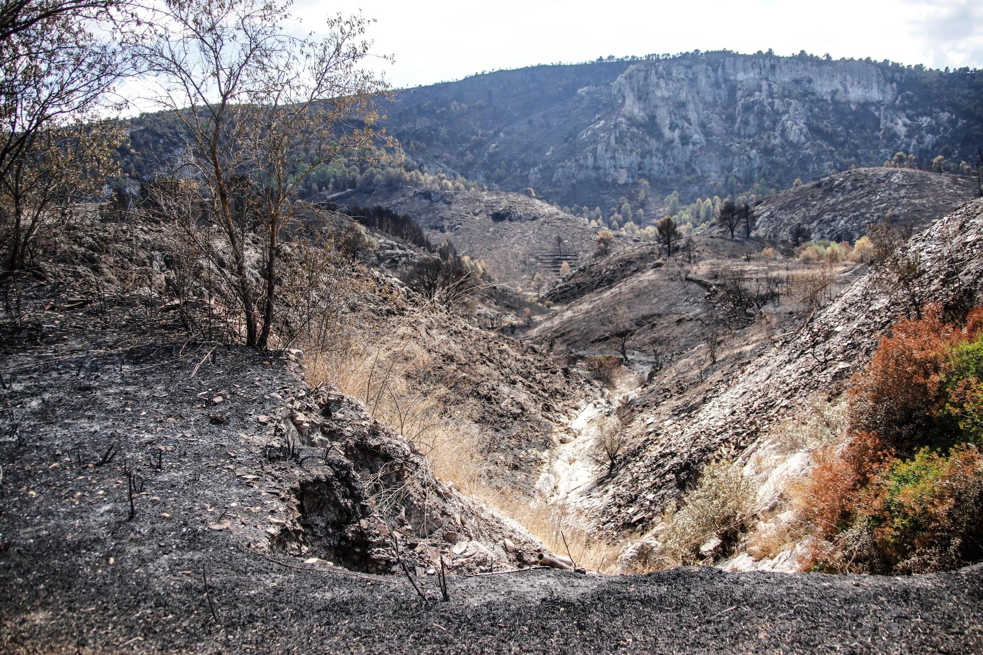 Así está el Vall d'Ebo un año después del incendio