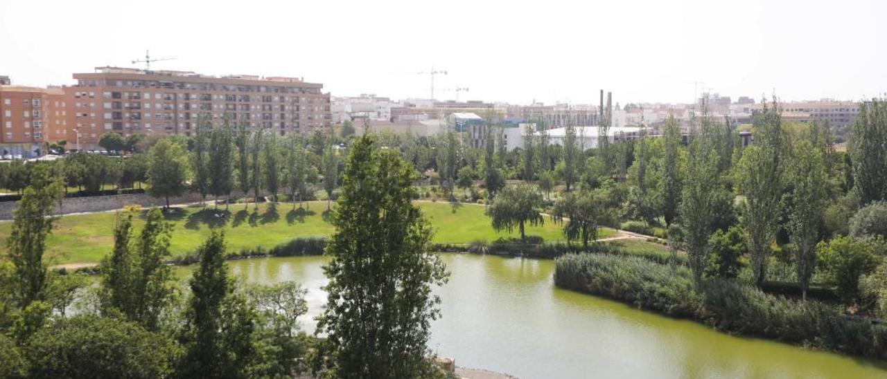 Mislata se queja a València de plagas de insectos en el Parque de Cabecera