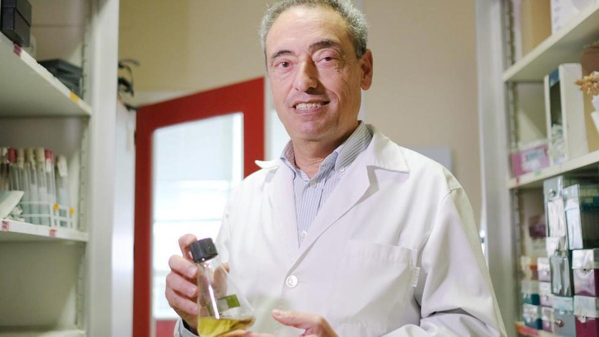 Un científico aragonés, al frente de la lucha contra la tuberculosis.