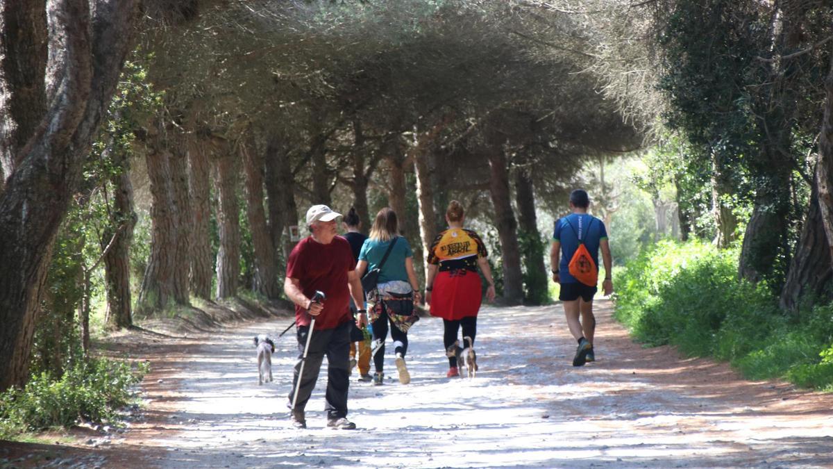 Personas caminando por senderos de la sierra Marina