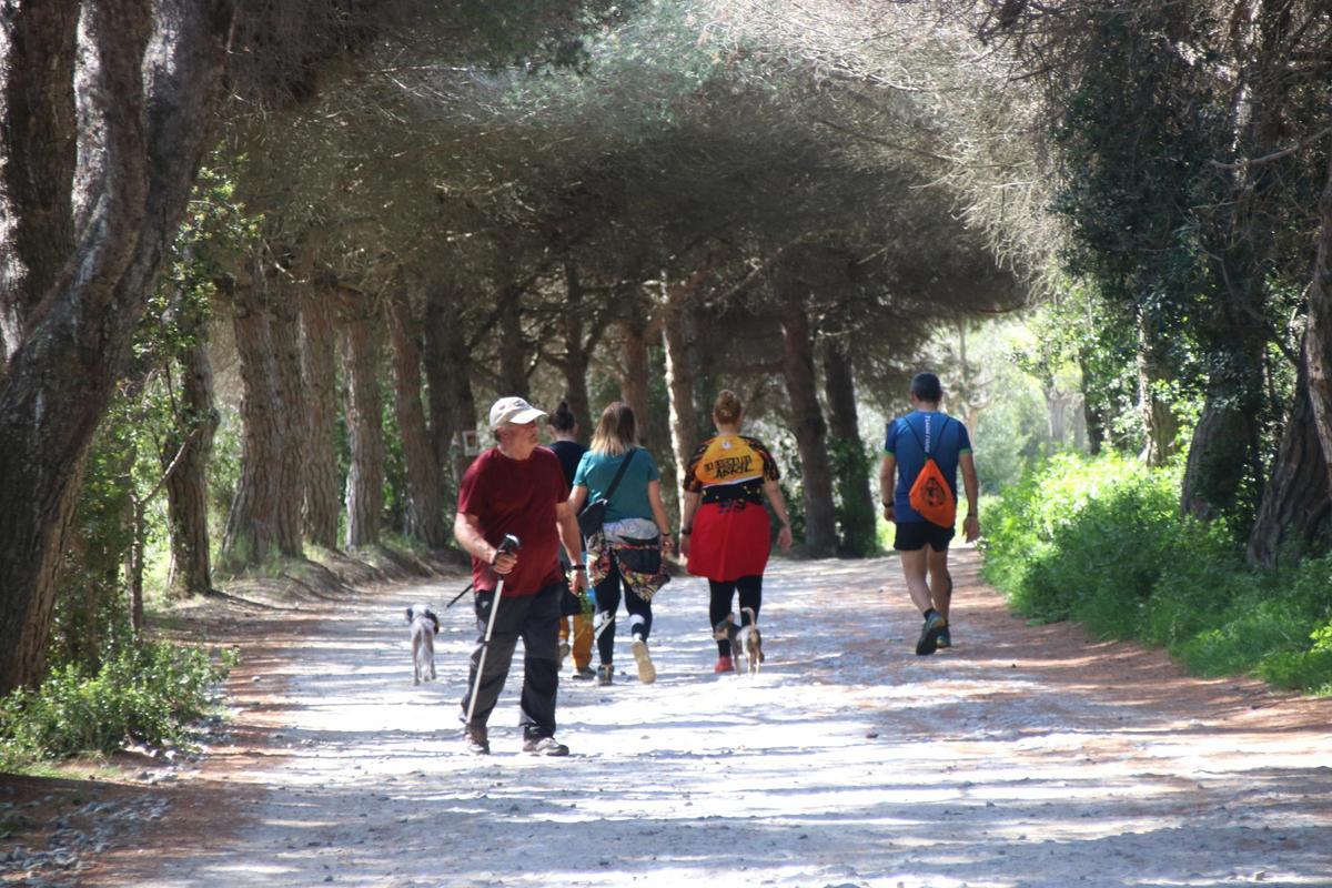 Personas caminando por senderos de la sierra Marina