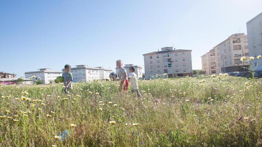 Sanidad alerta de focos de infecciones en solares de Suerte de Saavedra en Badajoz