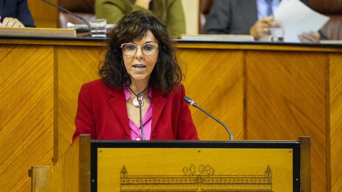 La diputada del PSOE-A María Ángeles Prieto.