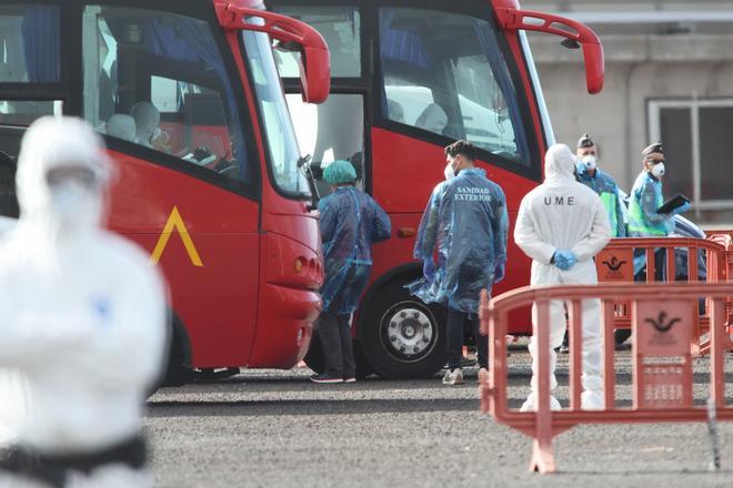 La OMS pone fin al brote de hantavirus del crucero tras más de un mes sin contagios