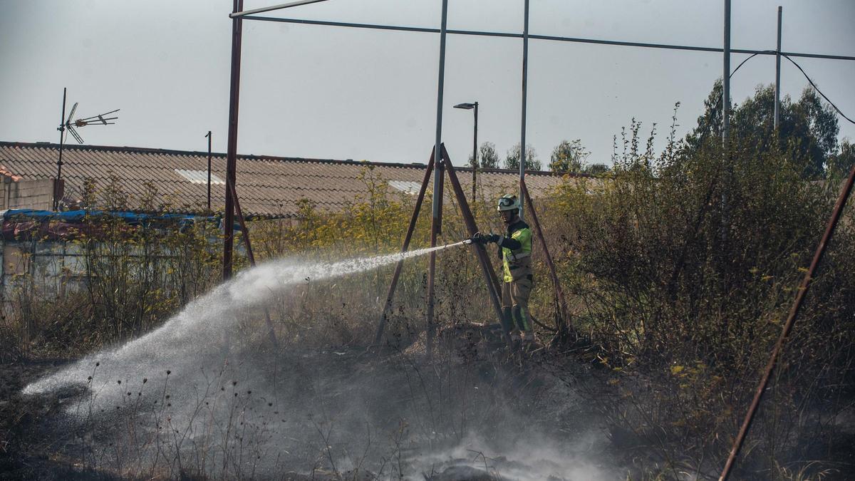 Consecuencias de un incendio forestal en la zona de San Pedro.