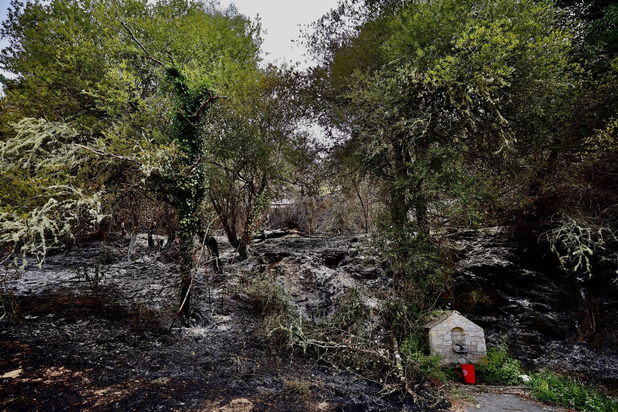 EN IMÁGENES: La evolución del incendio de Ibias