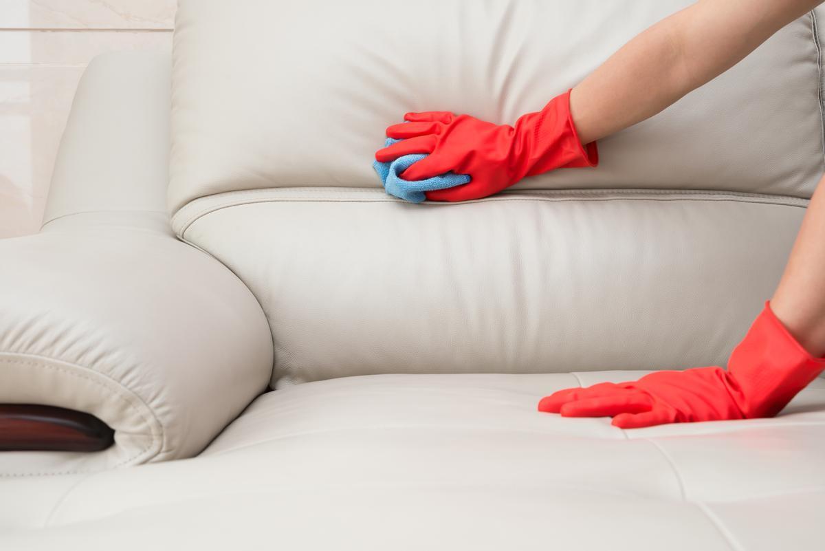 El truco para que el sofá te quede como nuevo con estos dos productos de  limpieza - El Periódico de España