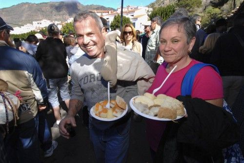 Fiesta del Almendro en Flor 2014