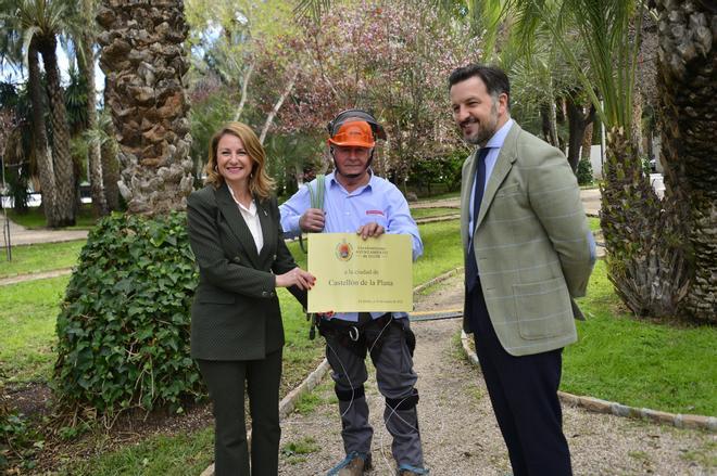 Elche homenajea a Castellón con una palmera
