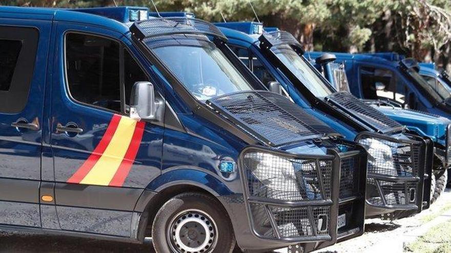 Sorprendidas 32 personas en una pelea de gallos en Málaga en pleno confinamiento