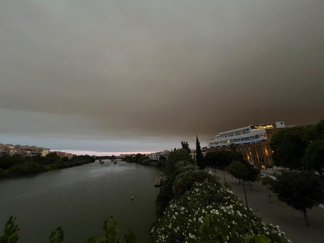 FOTOGALERÍA | El humo del incendio de Niebla cubre Sevilla