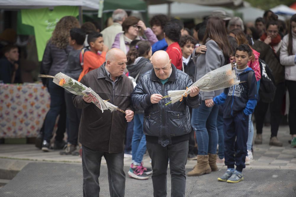 Diada de Sant Jordi a Manresa