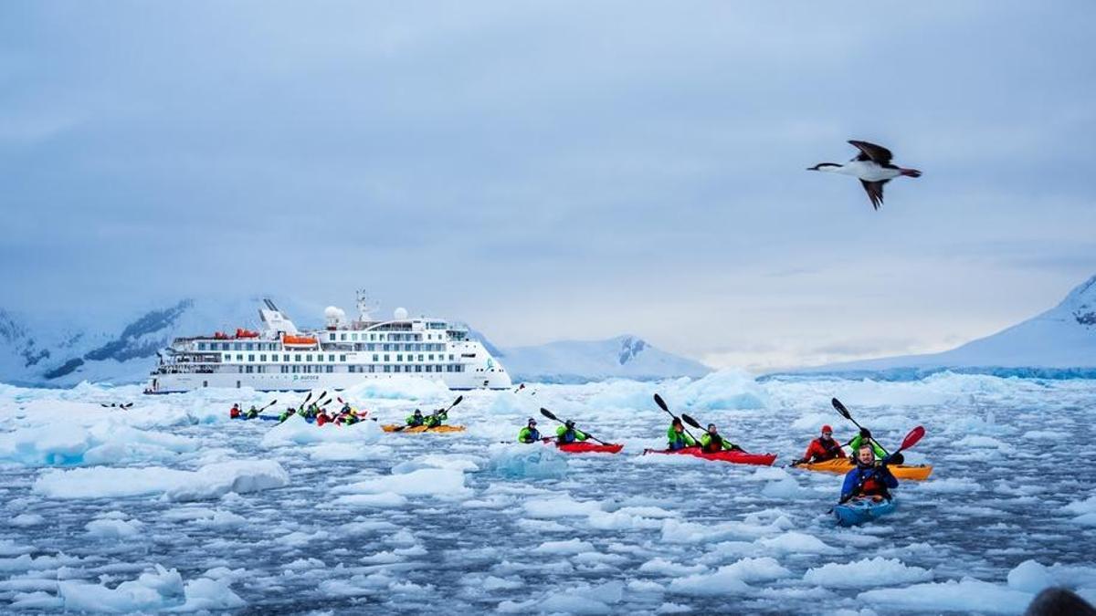 Imagen promocional del «Douglas Mawson», durante una expedición con kayaks