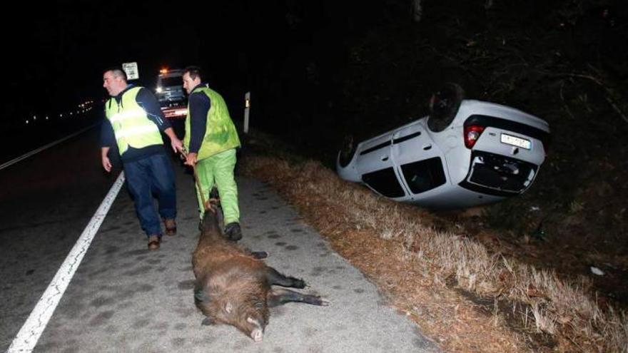 Un suido causa un accidente en la Variante de Avilés, en Salinas