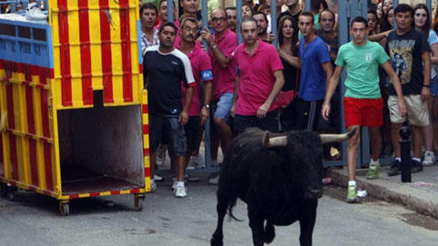 Celebración de &#039;bous  al carrer&#039; en la  pedanía de Borbotó,  donde gozan de un gran arraigo. Foto: M. A. Montesinos.