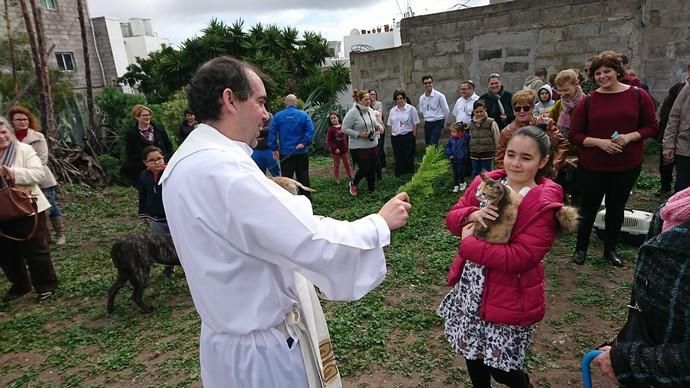 Actos religiosos en Tamaraceite y bendición de animales