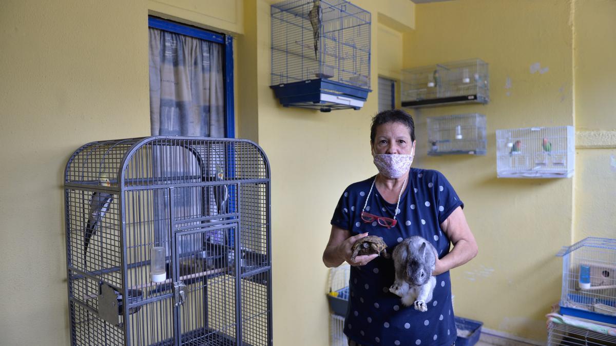 Soledad Álamo sostiene a la tortuga Mela y al conejo Tambor.