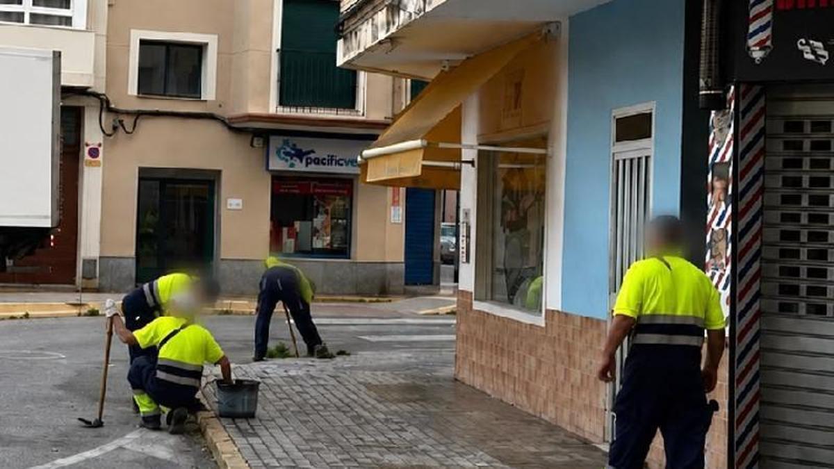 Imagen de los peones contratados a traves del Programa de Fomento del Empleo Agrario del SEPE en Sueca.