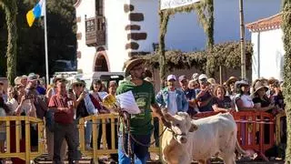 Garafía convoca ayudas de hasta 2.500 euros para modernizar las explotaciones agrícolas y ganaderas