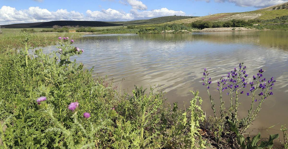 Imagen de la laguna de Jarata. /J.A. Aguilar