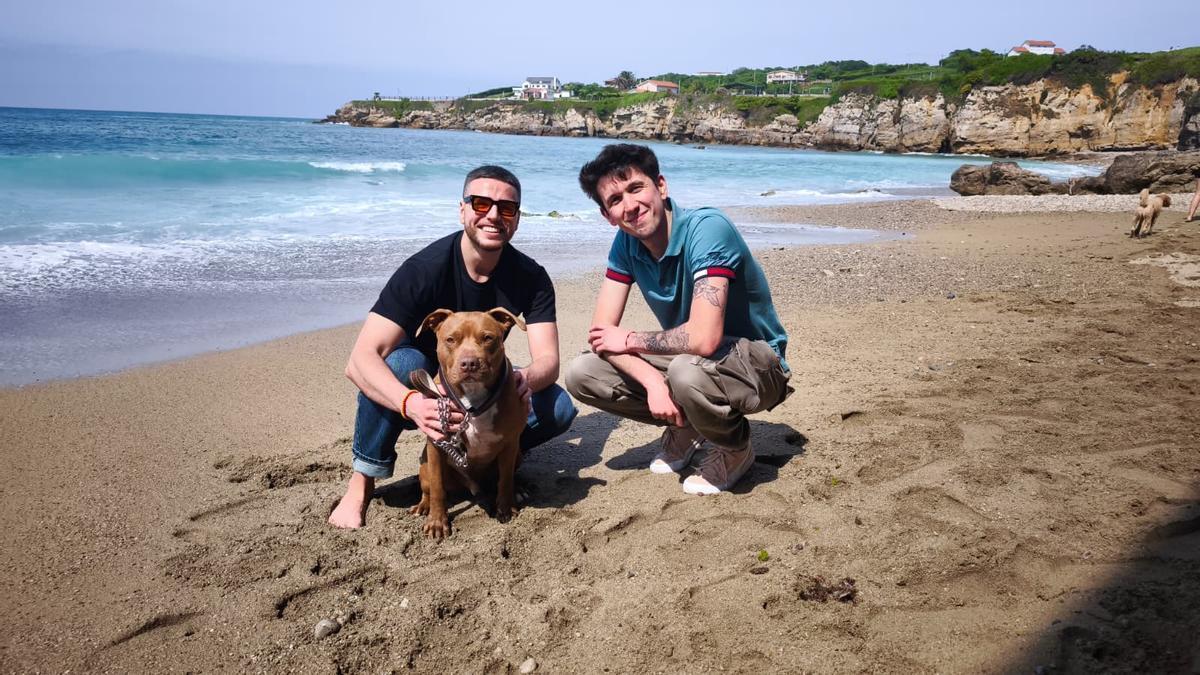VÍDEO: Los perros de Gijón dejan San Lorenzo y vuelven a El Cervigón al comenzar la temporada de baños