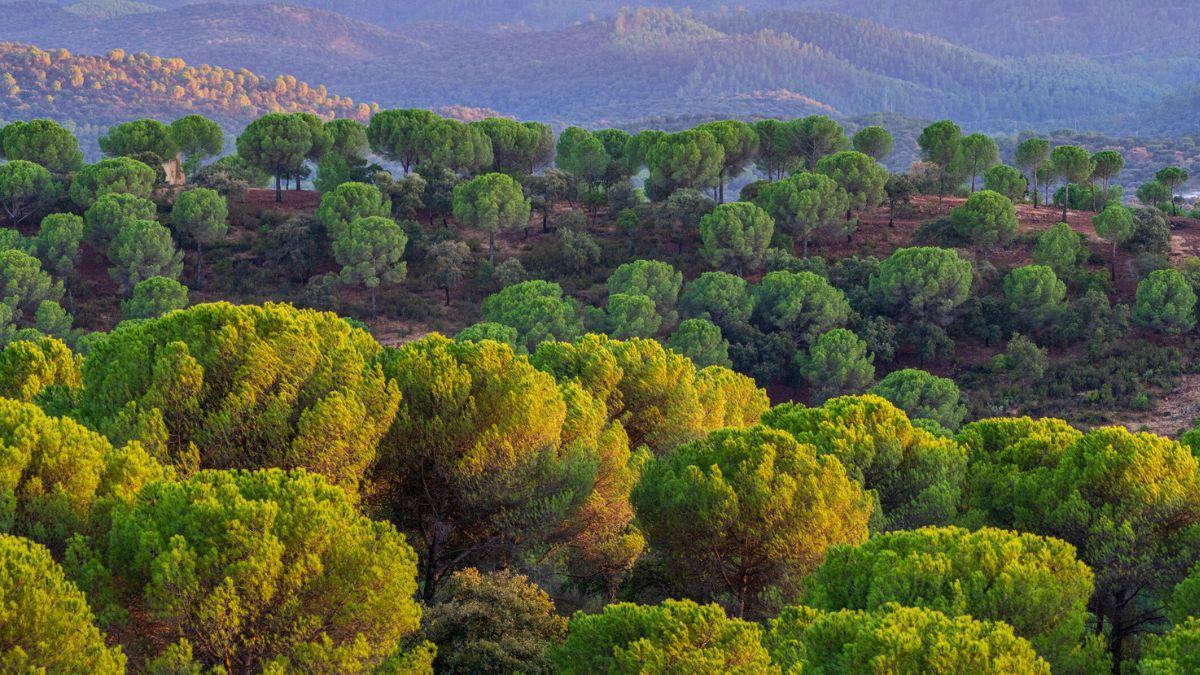 La ruta que te lleva hasta un lugar sagrado en la sierra