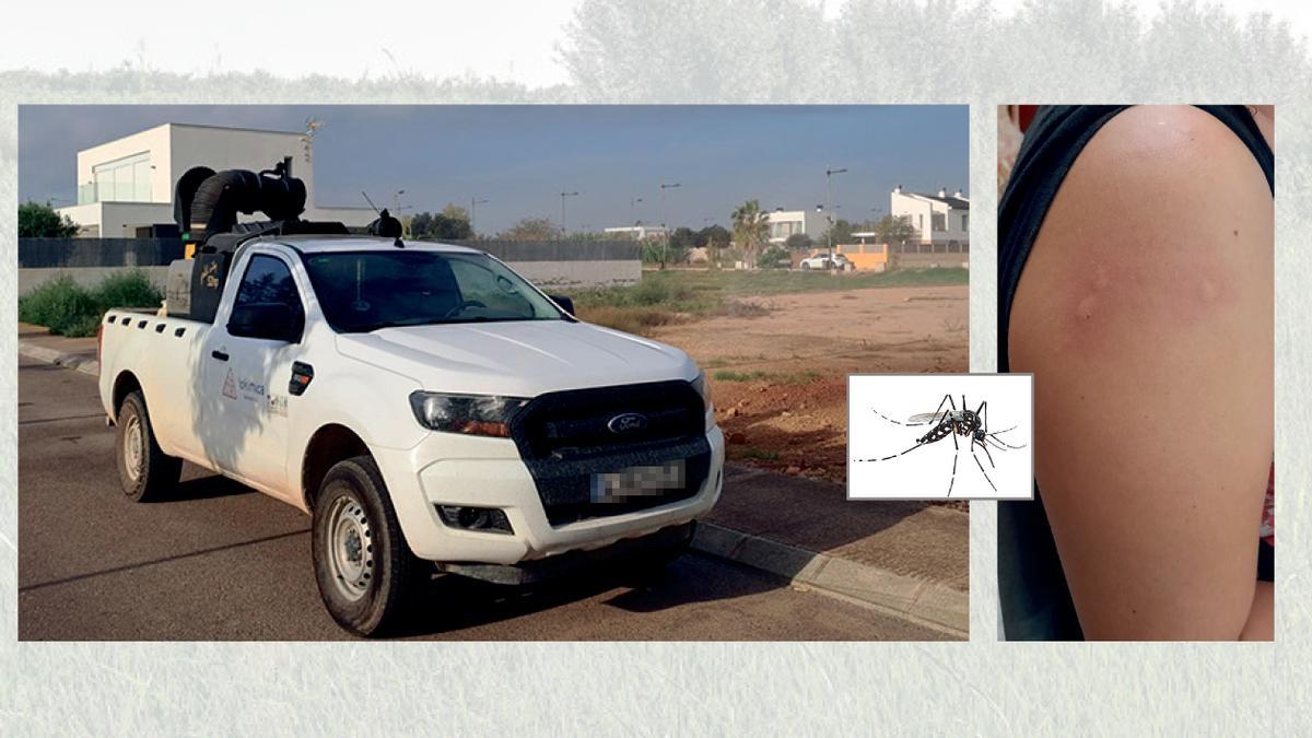 Pese a los administraciones, las molestias y las picaduras de mosquitos no cesan en la provincia