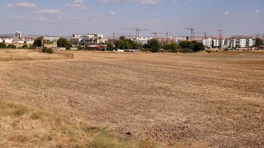 Vía libre para la construcción de un nuevo barrio en Córdoba: localización, número de viviendas y zonas verdes