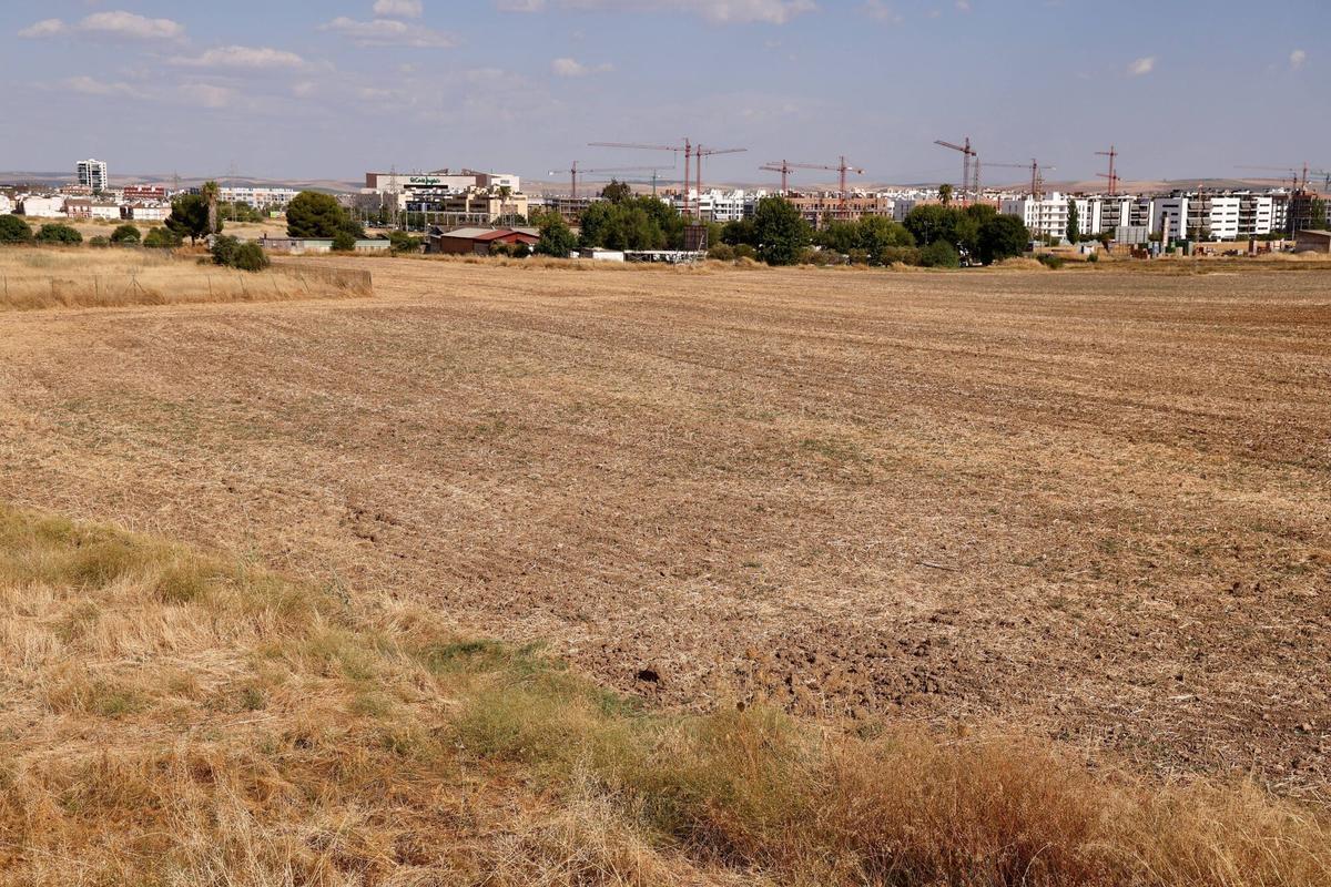 Vista de los terrenos de la zona donde se construirán los barrios de Ciudad Jardín de Poniente 2 y 3.