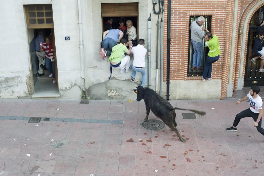 Becerrada, encierros y vaca de la sangría