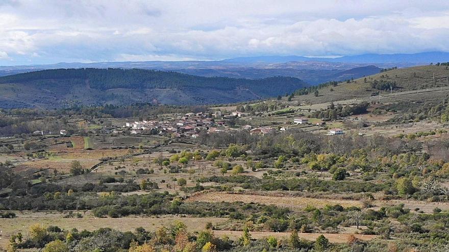 Las castañas y la miel lideran el margen bruto agrario de Nuez y Villarino tras la Sierra