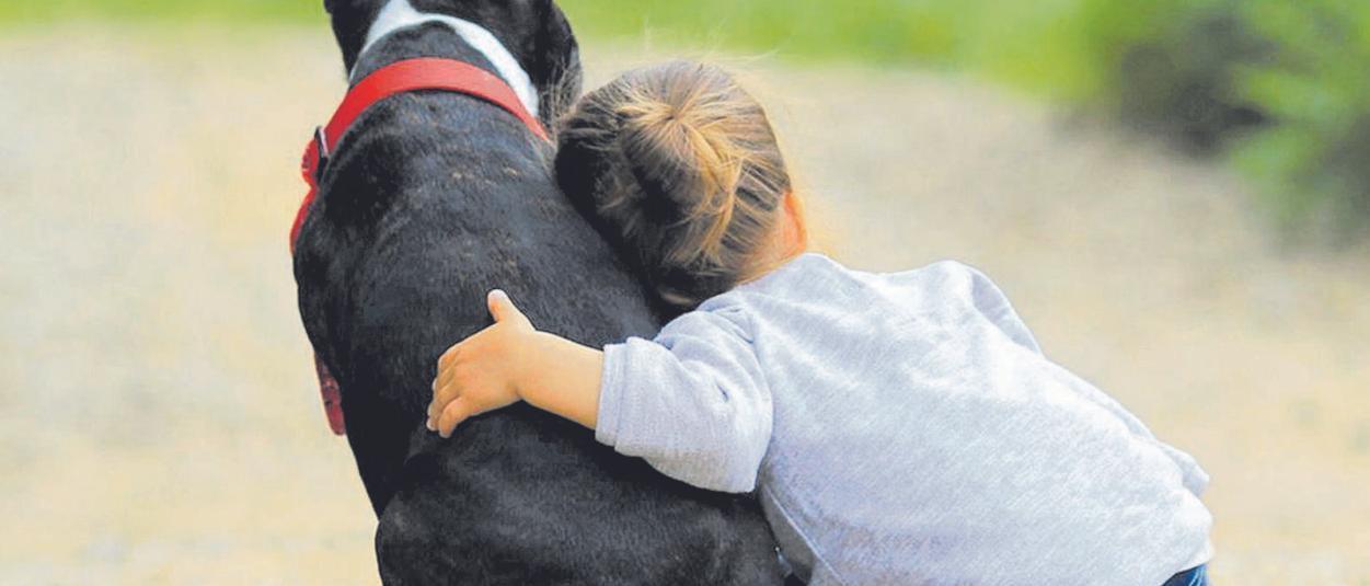 Una niña abraza a su perro
