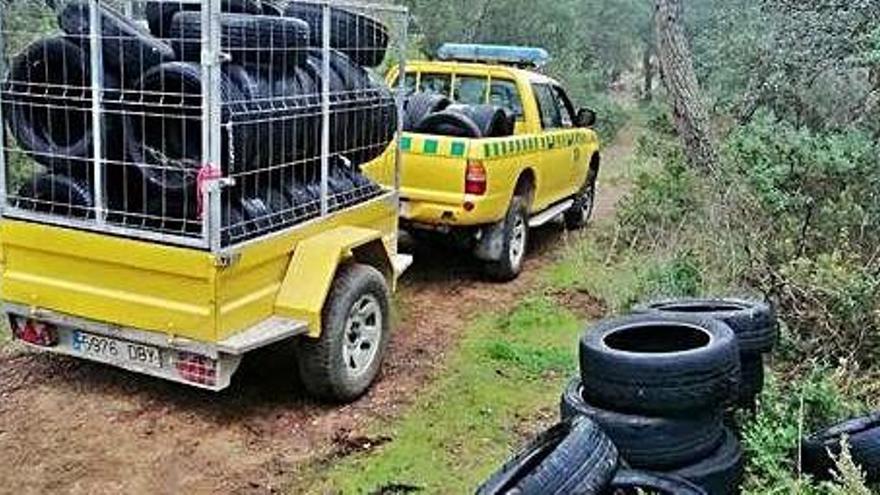 Denuncien l&#039;abocament de 151 pneumàtics al bosc de Puig Cargol de Palamós