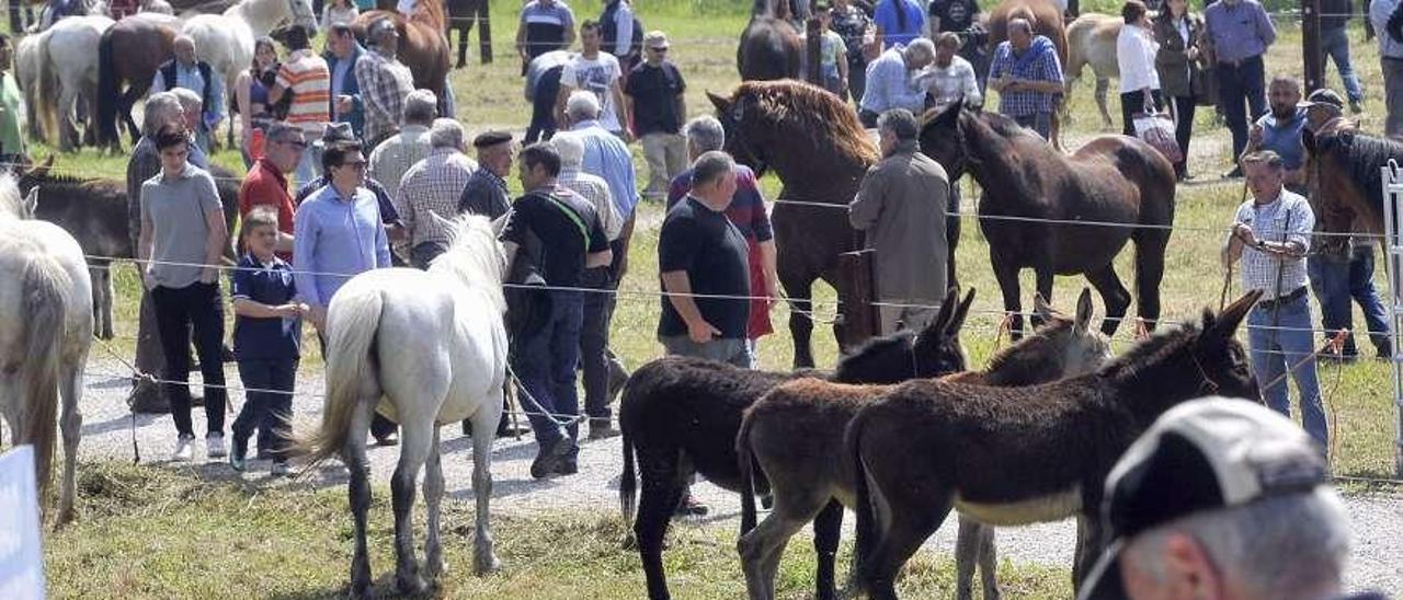 La última edición de la feria ganadera de la Ascensión en Anieves.