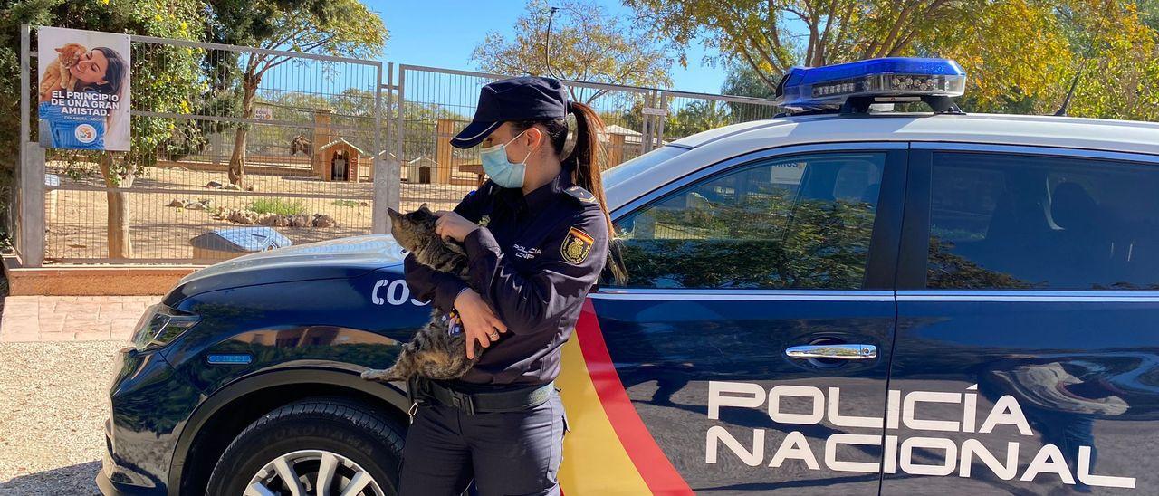 Una policía nacional de Alicante con un gato en la Protectora de Animales.