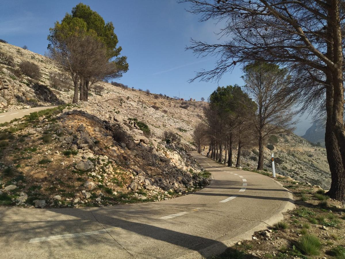 Desolación, erosión y bandadas de cuervos en las laderas del Coll de Rates arrasadas hace 8 meses por el fuego (imágenes) Desolación, erosión y bandadas de cuervos en las laderas del Coll de Rates arrasadas hace 8 meses por el fuego (imágenes)